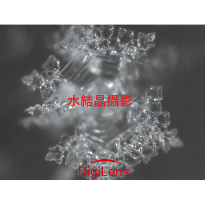 digilens 攜帶型水結晶顯微鏡 生命的荅案水知道3 1200.png